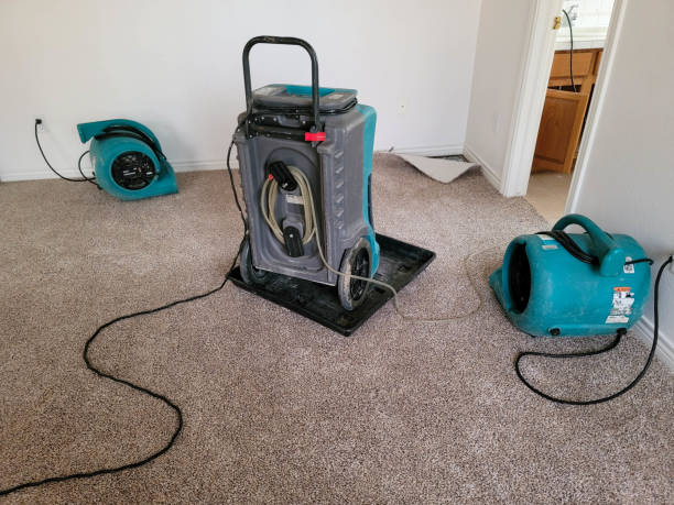 Best Water damage contractors near me  in Eagleville, PA