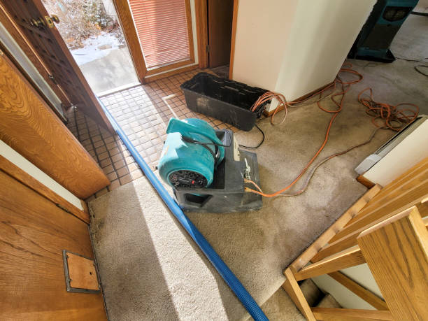 Best Professional water damage repair  in Eagleville, PA