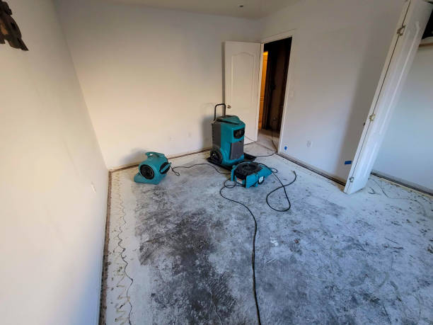Best Residential water damage restoration  in Eagleville, PA