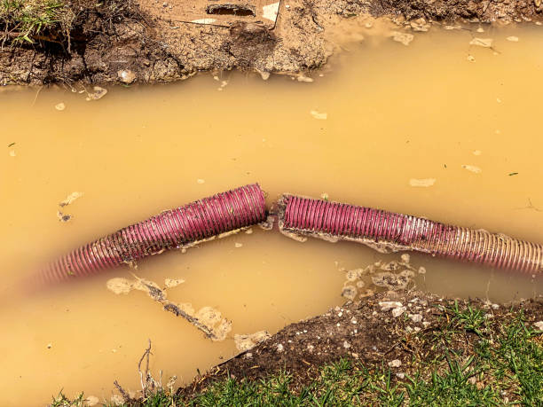 Best Sewage cleanup and water damage restoration  in Eagleville, PA