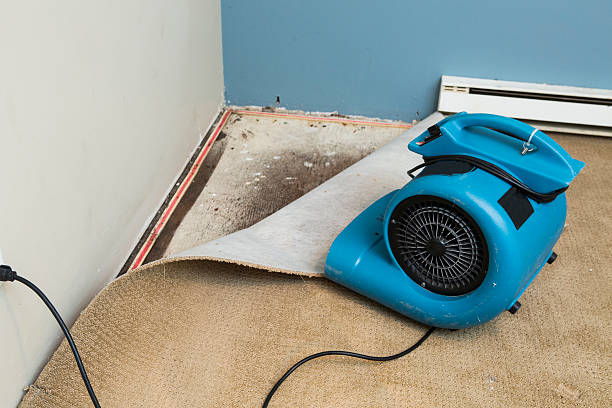 Best Water damage cleanup near me  in Eagleville, PA